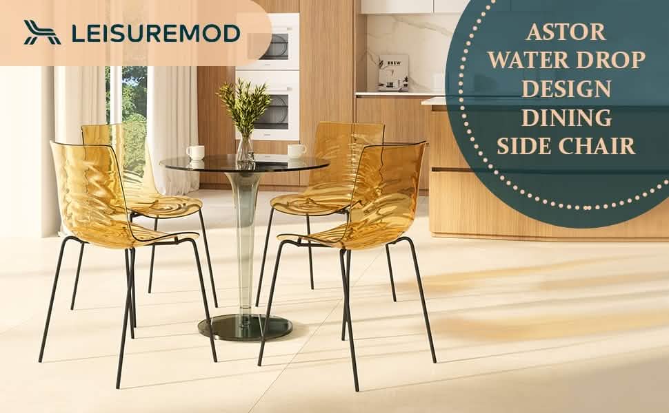 Astor Dining Chairs with ABS Plastic Seats in Black Stainless Steel Set of 2