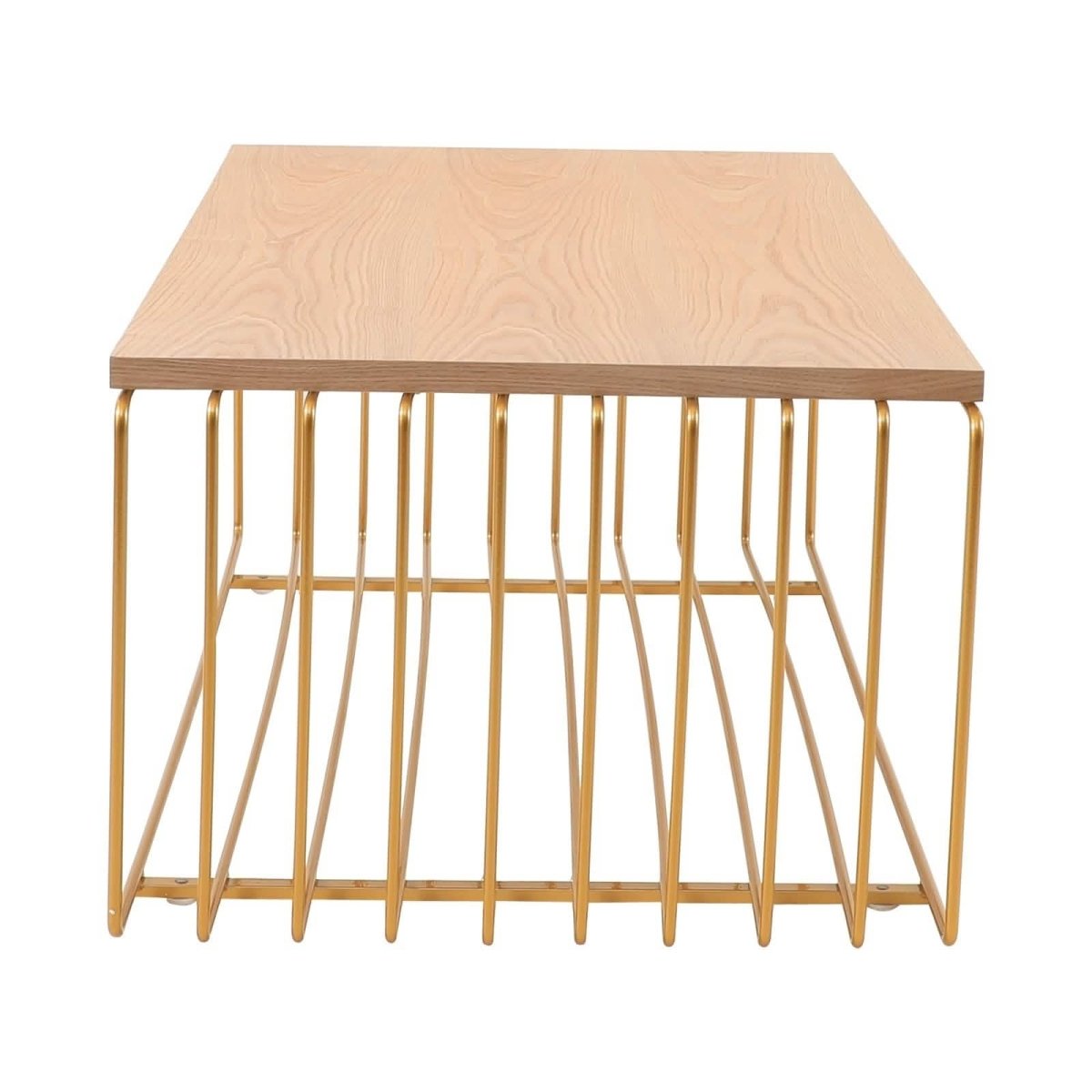 Walden Rectangular Coffee Table with Ash Wood Tabletop in Black Steel Frame