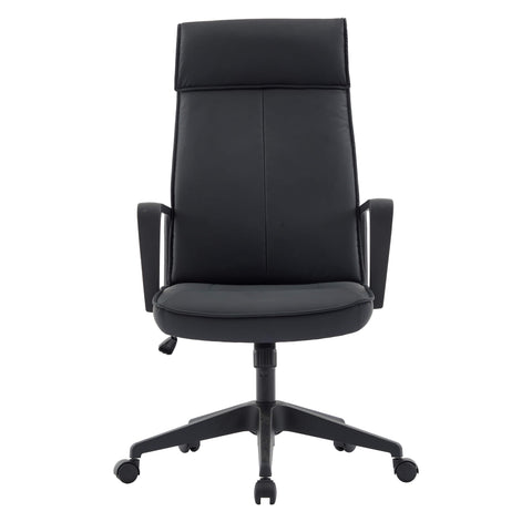 Aiaria Ergonomic High-Back Leather Office Chair with Adjustable Height, Swivel, Tilt, and Double Wheel Casters