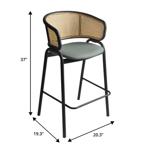 Ervilla Wicker Bar Stool with Leather Seat and Black/White Stainless Steel Frame