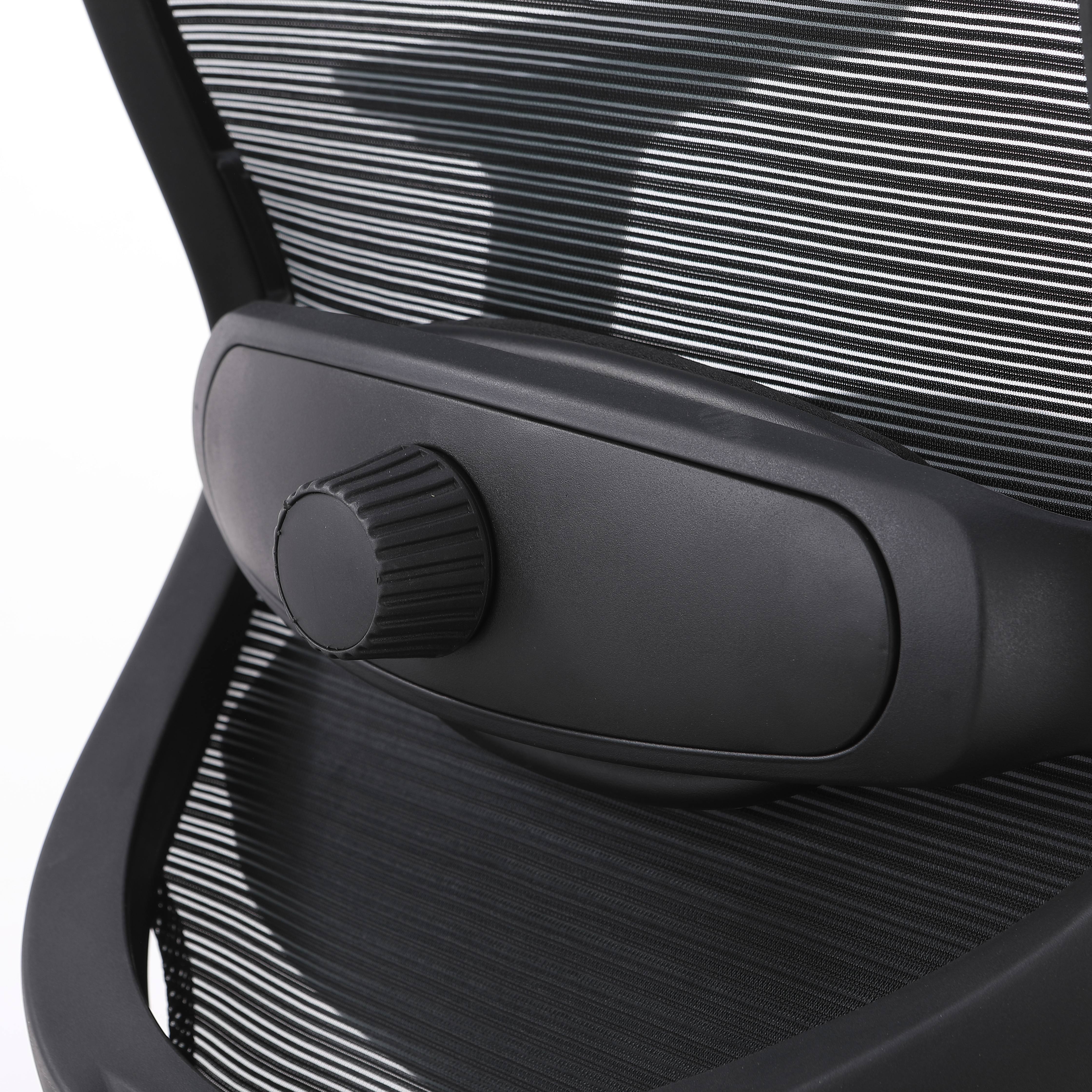 Ingram Ergonomic Office Mesh Task Chair With Adjustable Height