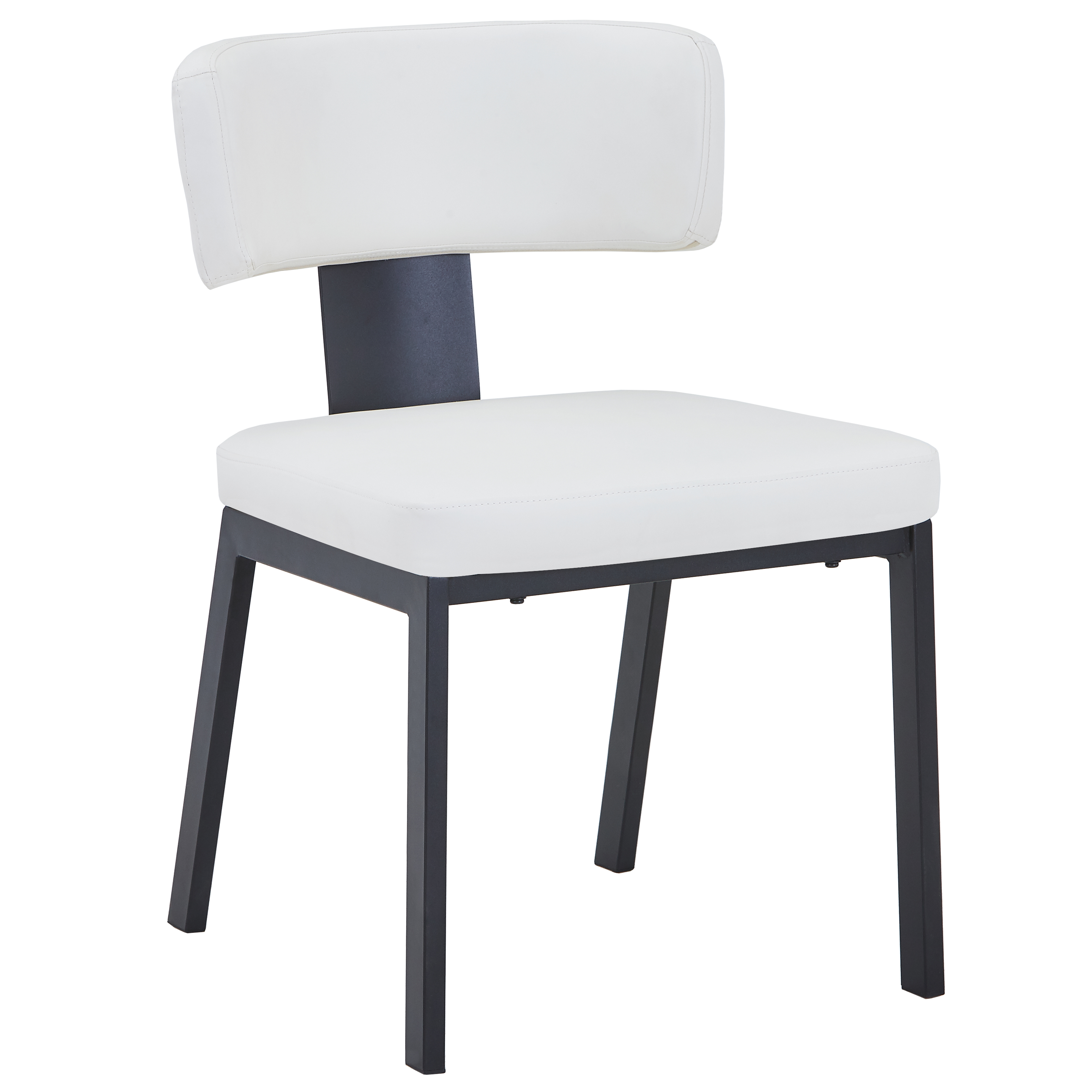 Teres Dining Chair with Leather Upholstery and Steel Legs