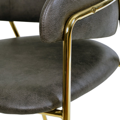 Axis Upholstered Dining Chair with Curved Open-Back and Arms and Black/Gold Stainless Steel Legs