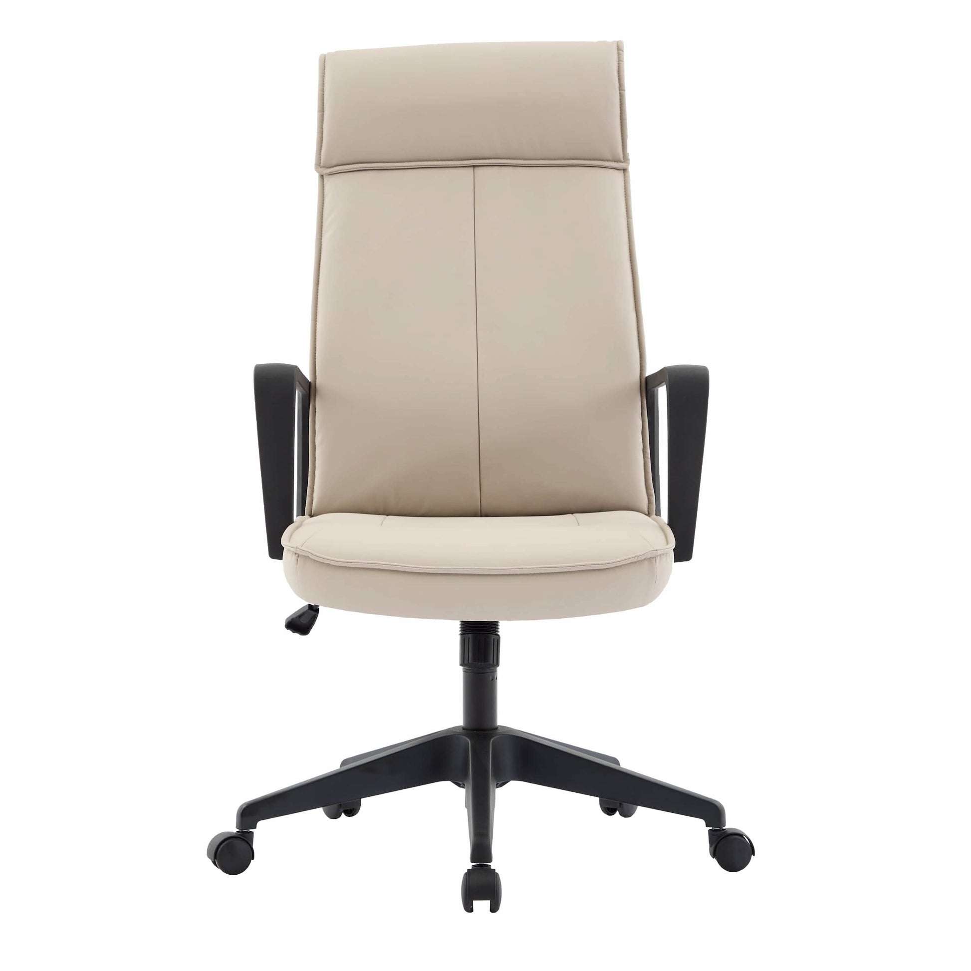 Aiaria Ergonomic High - Back Leather Office Chair with Adjustable Height, Swivel, Tilt, and Double Wheel Casters