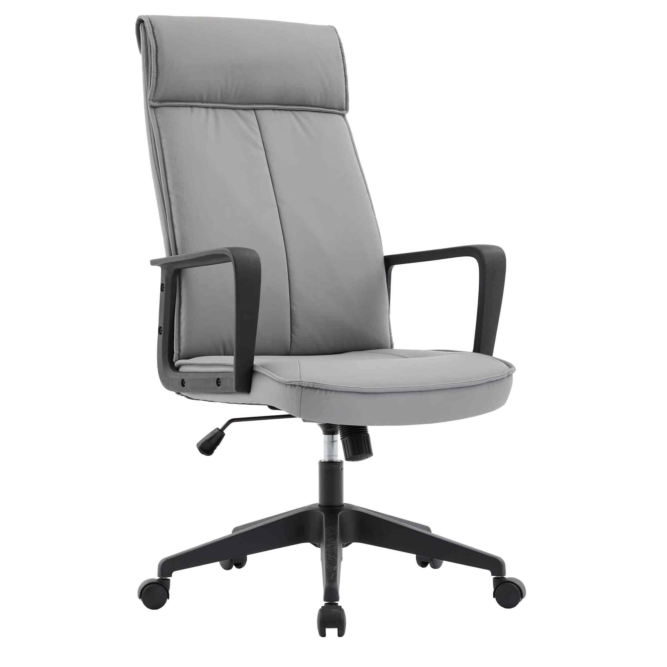 Aiaria Ergonomic High - Back Leather Office Chair with Adjustable Height, Swivel, Tilt, and Double Wheel Casters