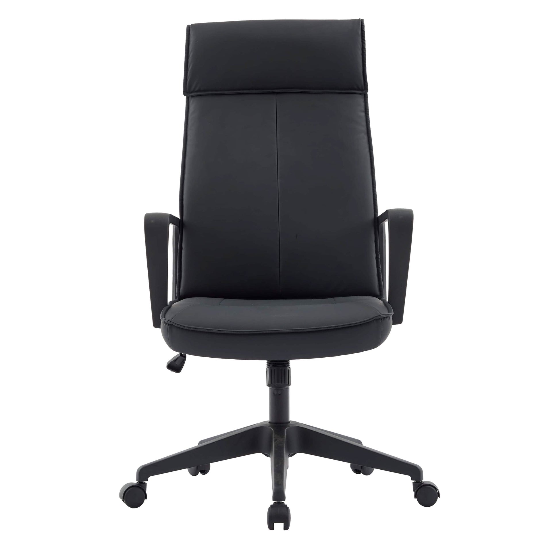 Aiaria Ergonomic High - Back Leather Office Chair with Adjustable Height, Swivel, Tilt, and Double Wheel Casters