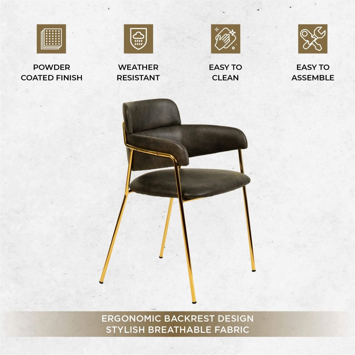Axis Upholstered Dining Chairs Curved Open - Back & Gold Legs Set of 2