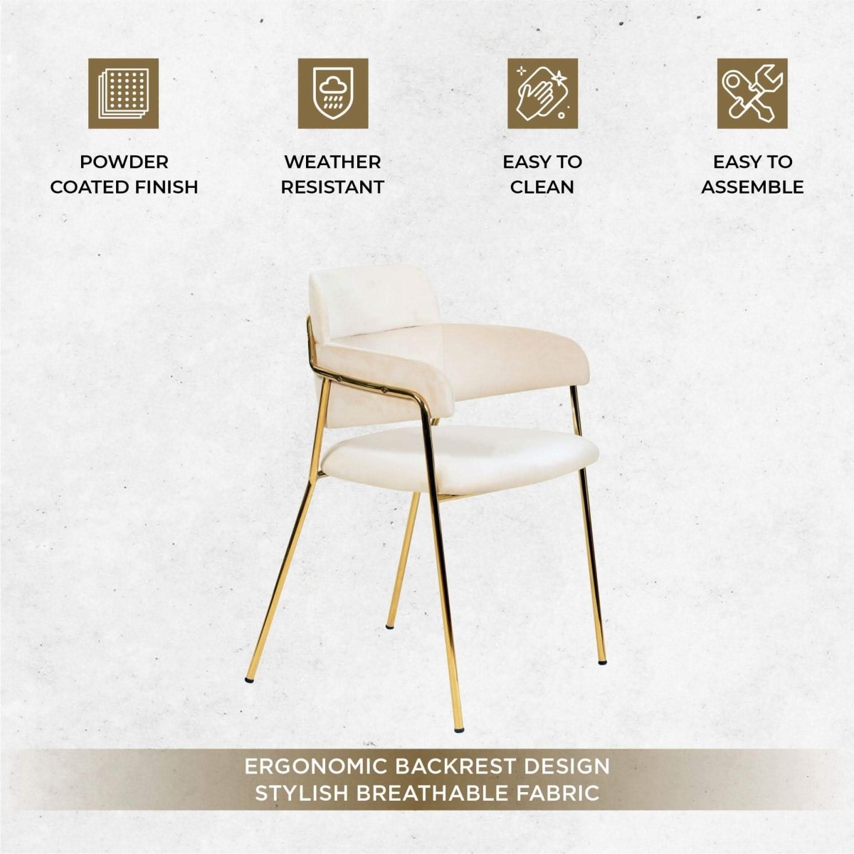 Axis Upholstered Dining Chairs Curved Open - Back & Gold Legs Set of 2