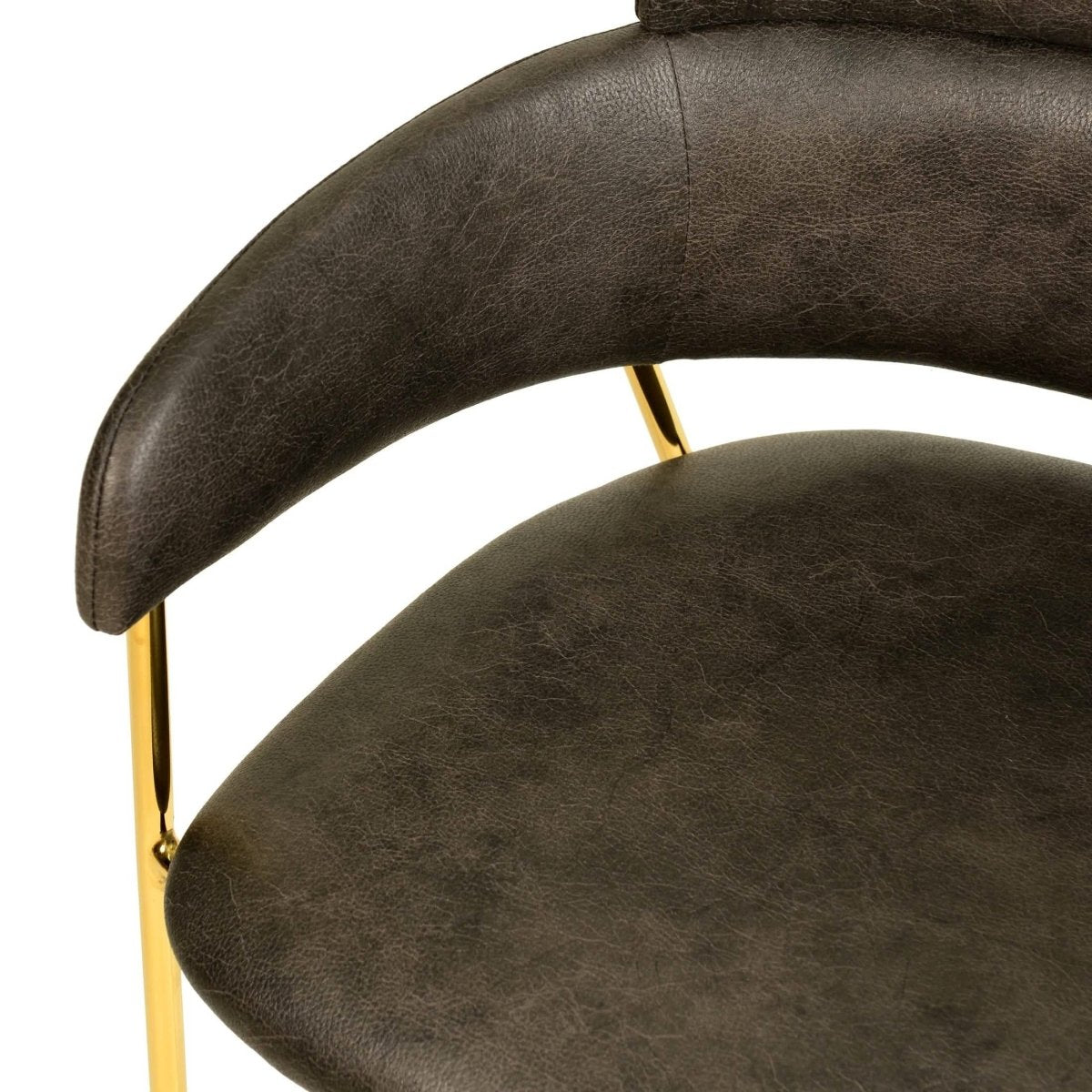 Axis Upholstered Dining Chairs Curved Open - Back & Gold Legs Set of 2