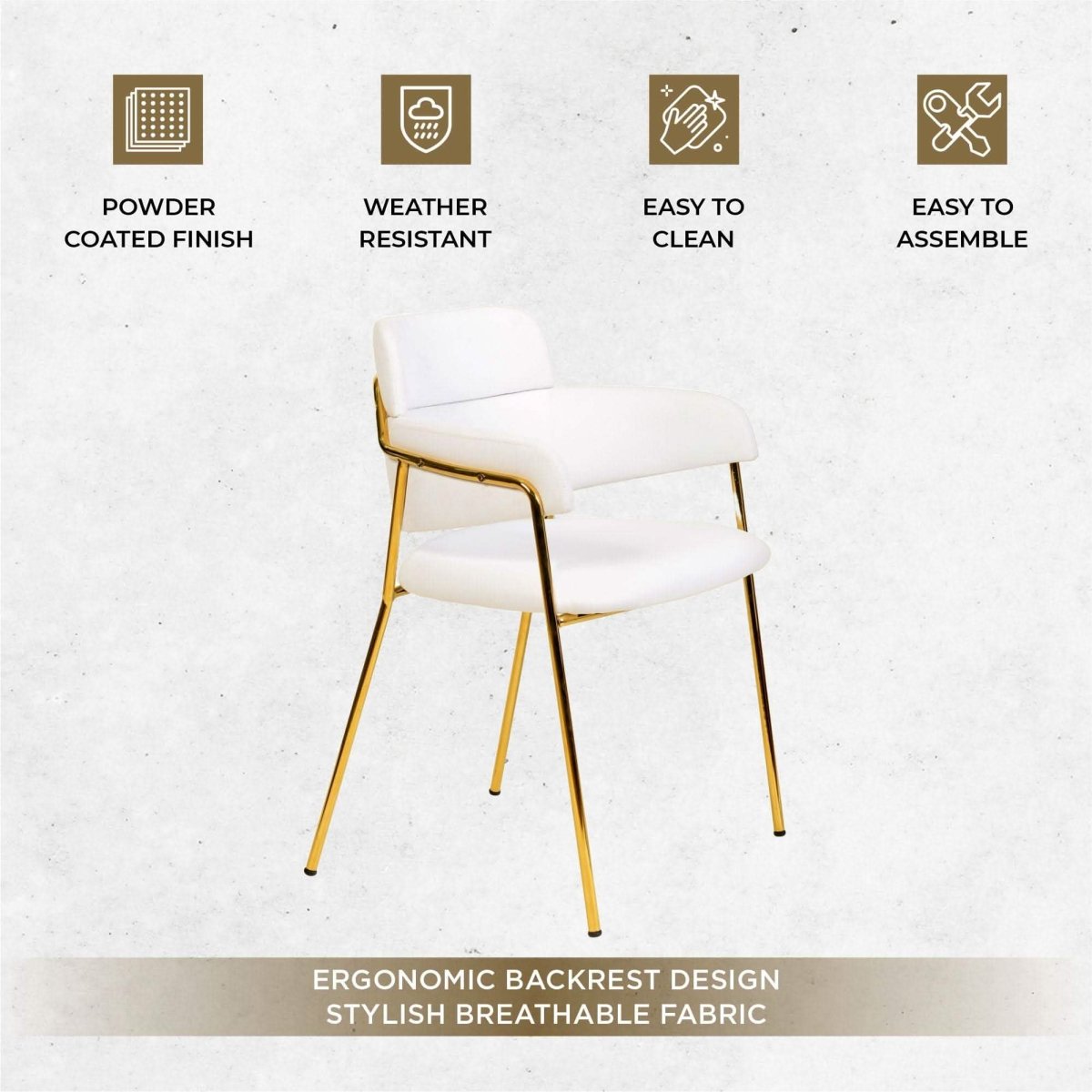 Axis Upholstered Dining Chairs Curved Open - Back & Gold Legs Set of 2