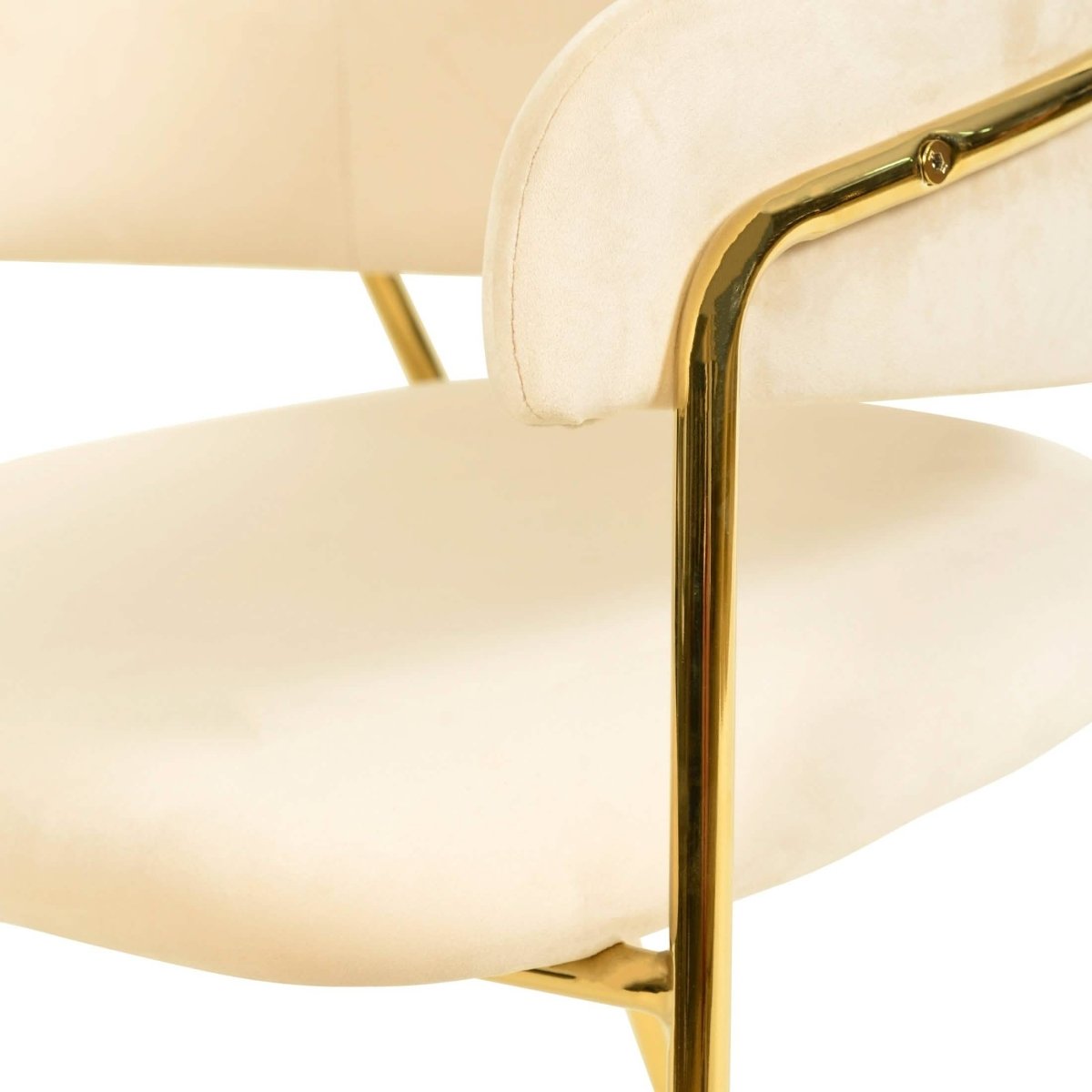 Axis Upholstered Dining Chairs Curved Open - Back & Gold Legs Set of 2