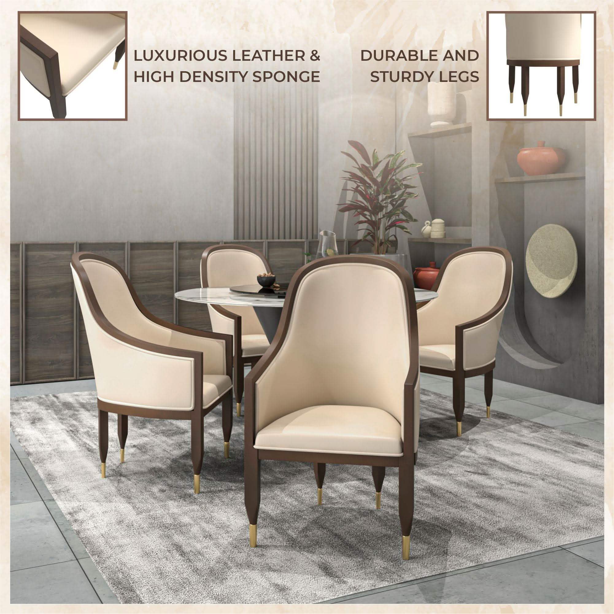Belle Leather Dining Chair with Arms and Gold Metal Caps with Rubberwood Frame and Legs Set of 2