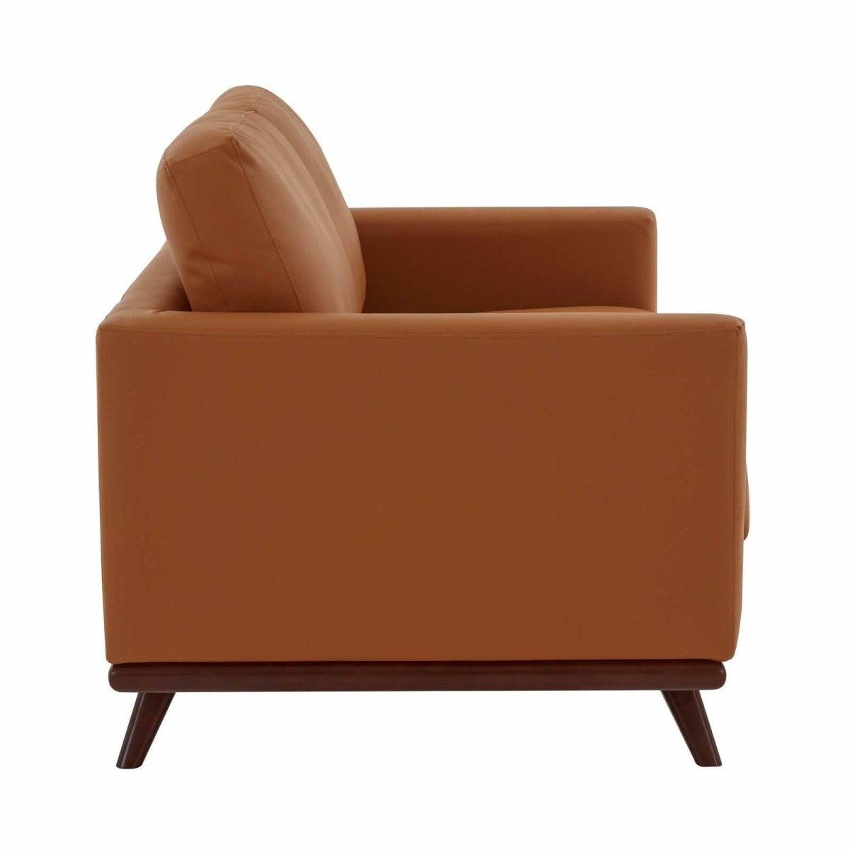 Birch Wood Base Leather/Mesh Loveseat - Chester Collection