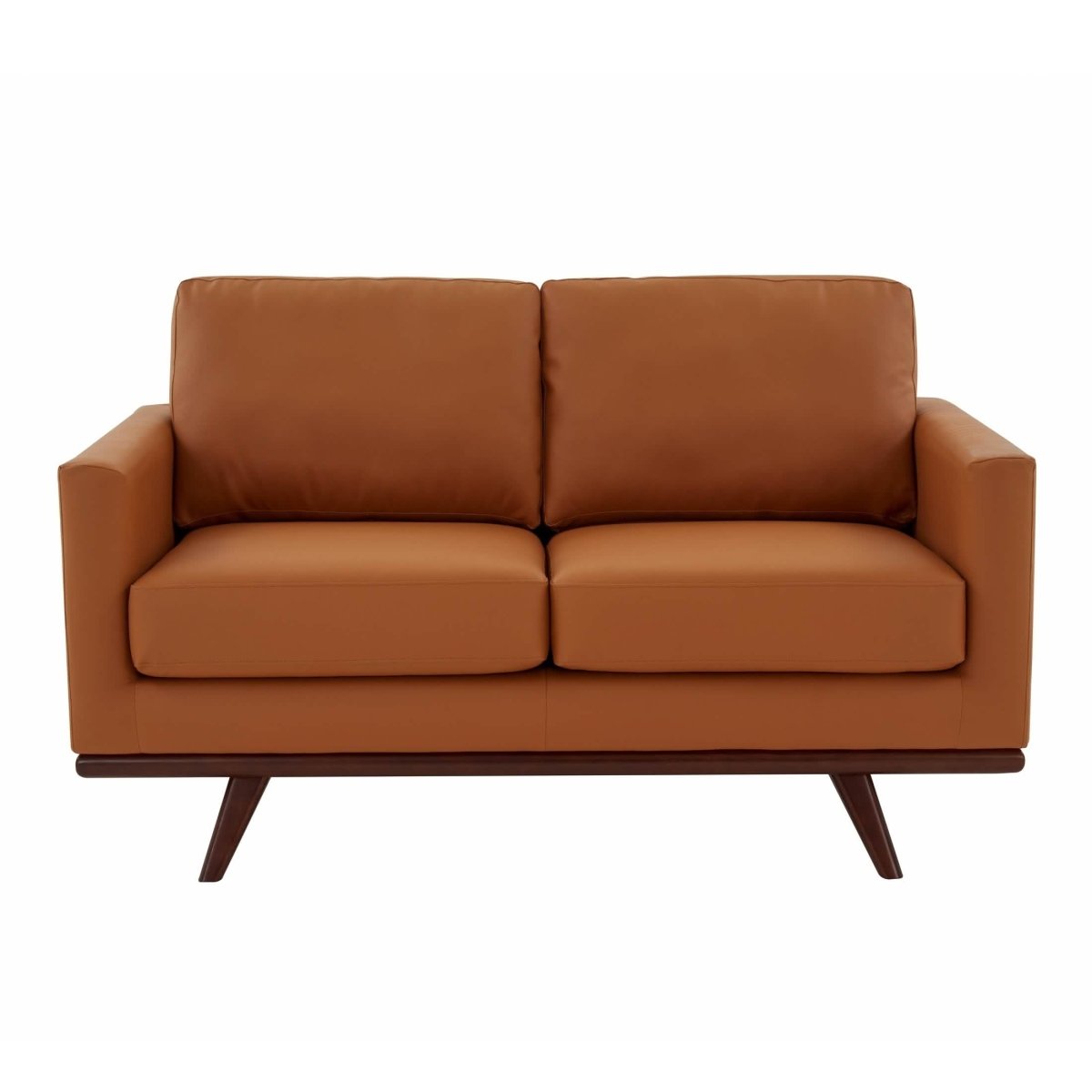 Birch Wood Base Leather/Mesh Loveseat - Chester Collection