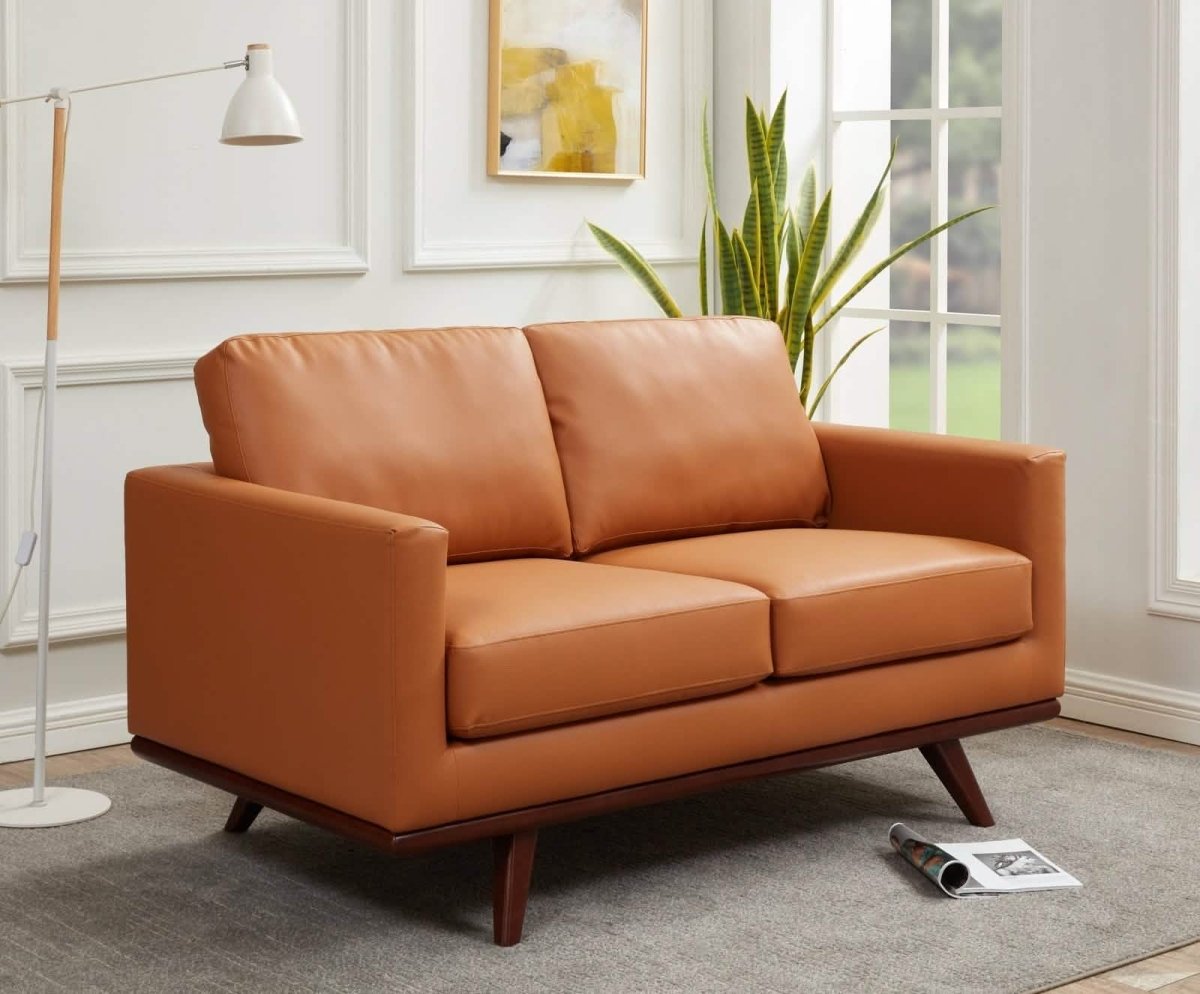 Birch Wood Base Leather/Mesh Loveseat - Chester Collection