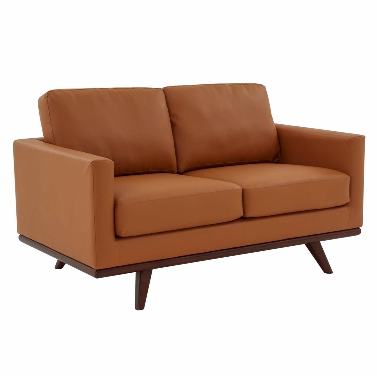 Birch Wood Base Leather/Mesh Loveseat - Chester Collection