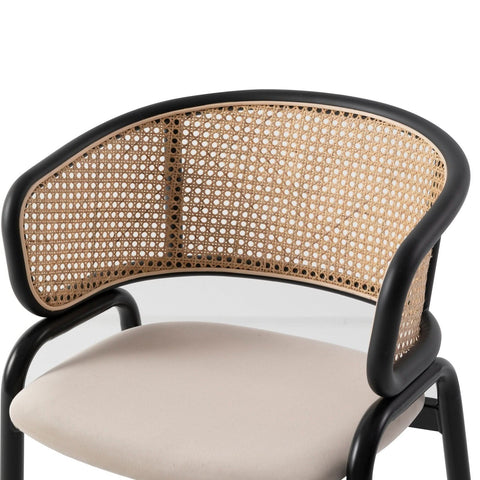 Ervilla Mid Century Modern Dining Chair With Stainless Steel Legs Velvet Seat and Wicker Back, Set of 4