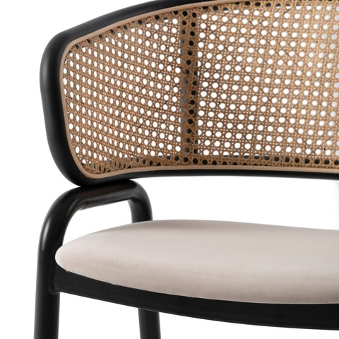 Ervilla Mid Century Modern Dining Chair With Stainless Steel Legs Velvet Seat and Wicker Back, Set of 4