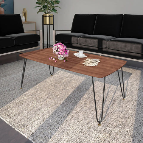 Elmwood Rectangular Coffee Table with Ash Wood Tabletop in Iron