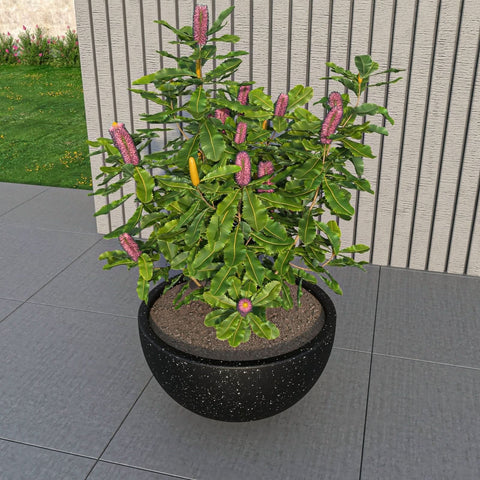 LeisureMod Iris Modern Round Planter Pot in Fiberstone and Clay Weather Resistant Design