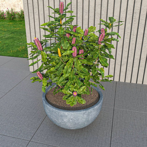 LeisureMod Iris Modern Round Planter Pot in Fiberstone and Clay Weather Resistant Design