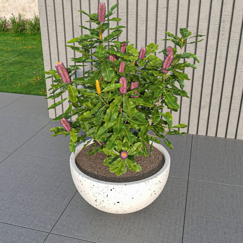 LeisureMod Iris Modern Round Planter Pot in Fiberstone and Clay Weather Resistant Design