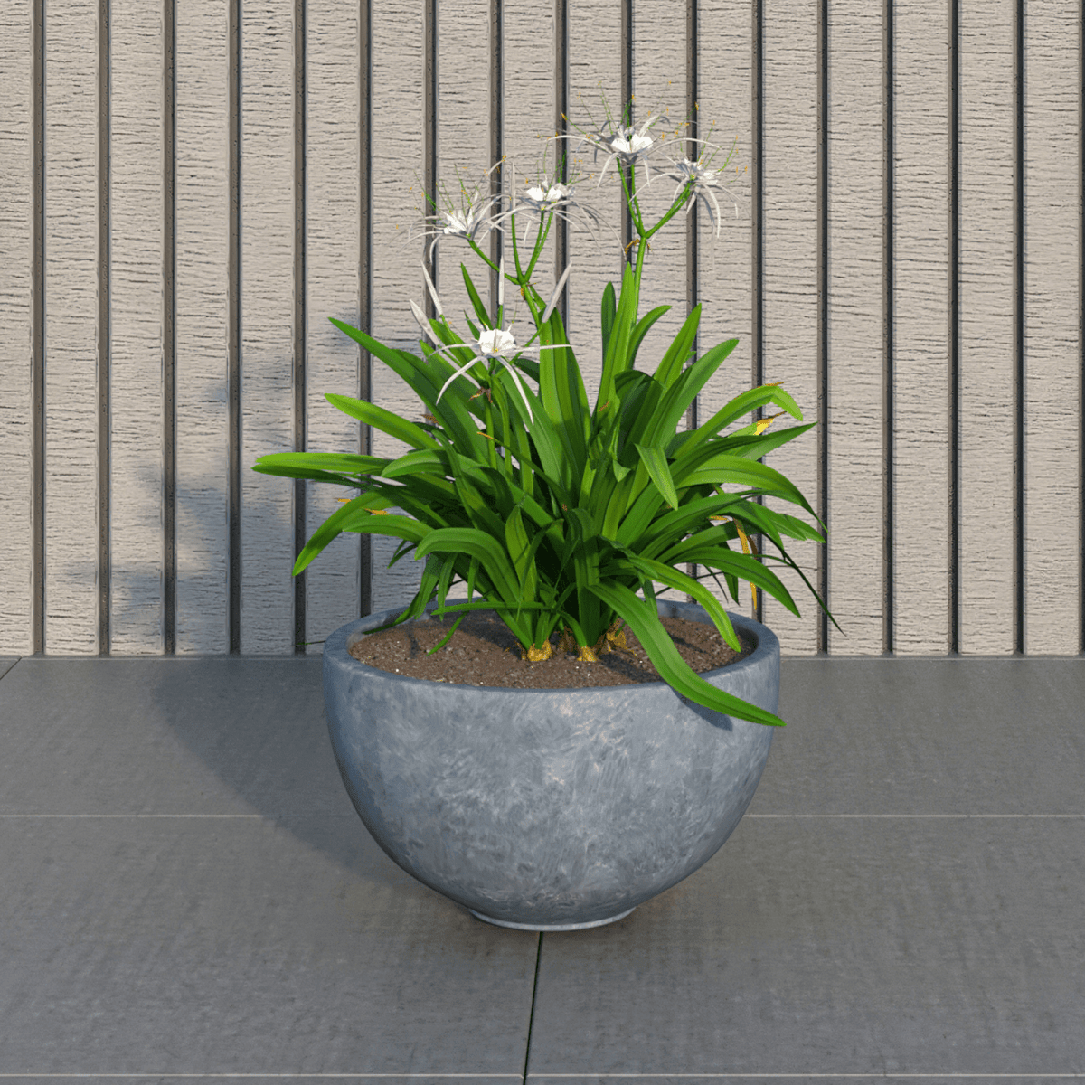 Iris Modern Round Planter Pot in Fiberstone and Clay Weather Resistant Design