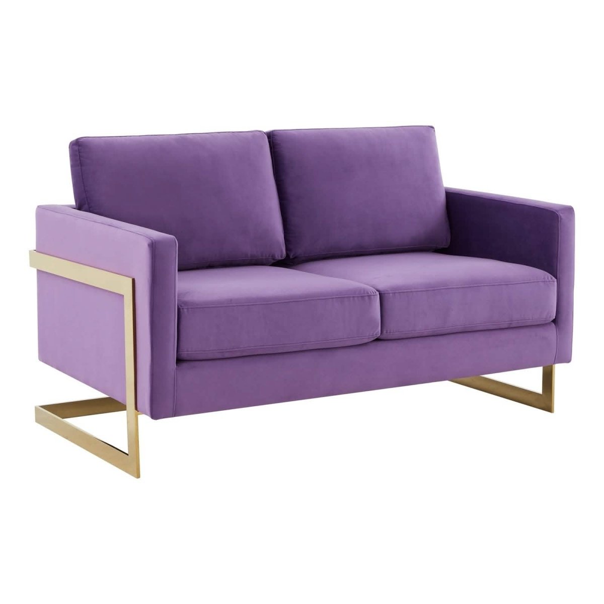 Lincoln Velvet/Leather Upholstered Loveseat with Gold/Black/Silver Steel Frame & Removable Cushions