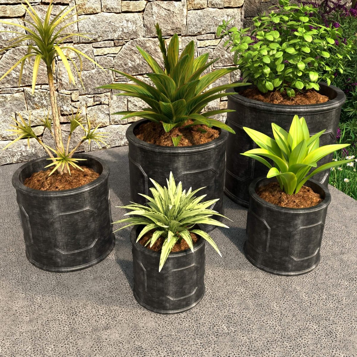 Meadow 5 - Piece Fiberstone and MGO Clay Planter Set, Mid - Century Modern Round Planter Pot for Indoor and Outdoor