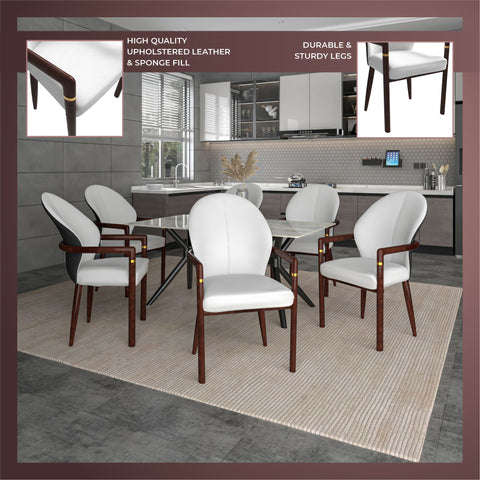 Opaline Dining Chair in Velvet or Leather Upholstery with Rubberwood Frame with Gold Accents