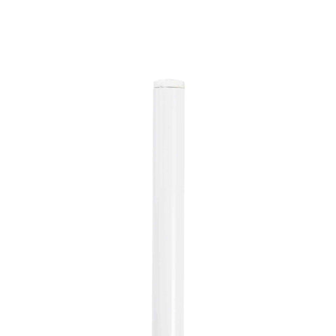 Oyster Modern Transparent Side Chair in White Base Set of 4