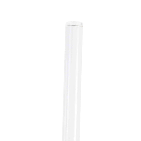 Oyster Modern Transparent Side Chair in White Base Set of 4
