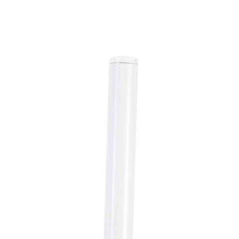 Oyster Modern Transparent Side Chair in White Base Set of 4