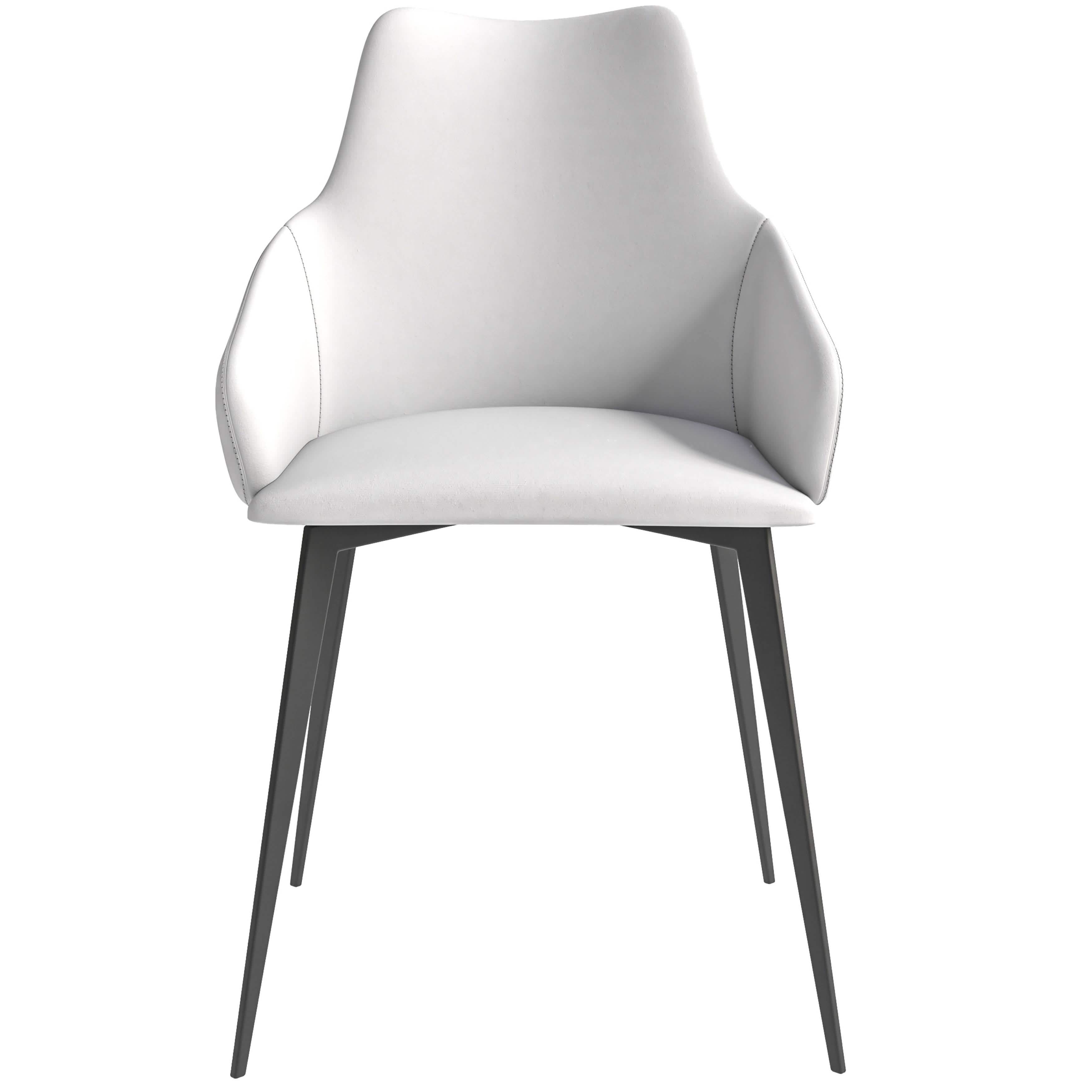 Sonnet Dining Chair with Armrests and Black Powder - Coated Iron Legs Set of 2