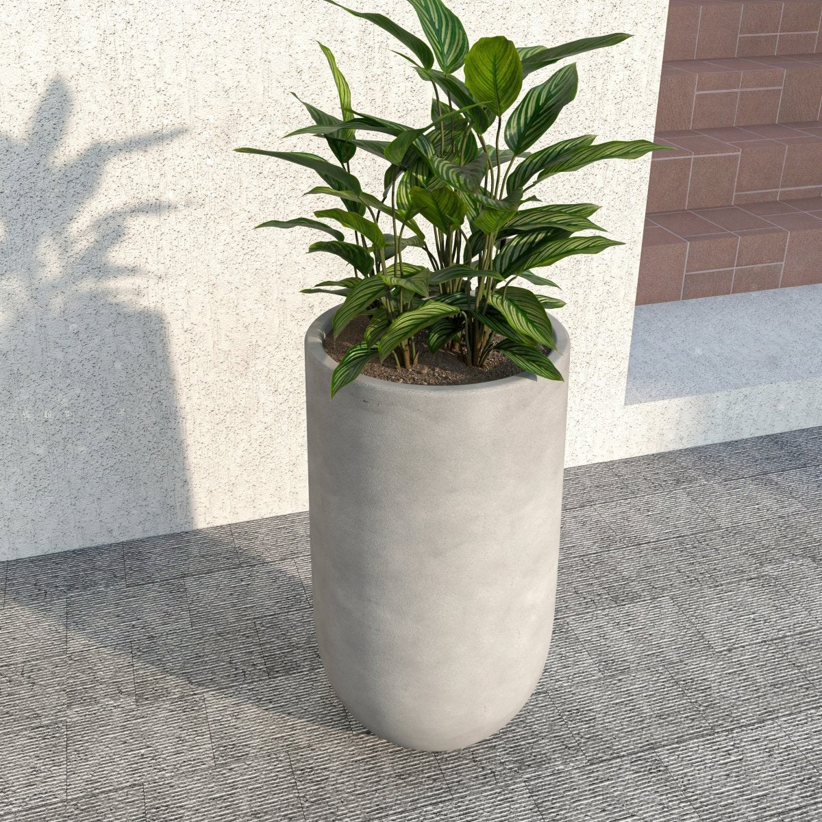 Topiary Mid - Century Modern Cylinder Planter: Fiberstone and MgO Clay Planter Pot in Dark Grey