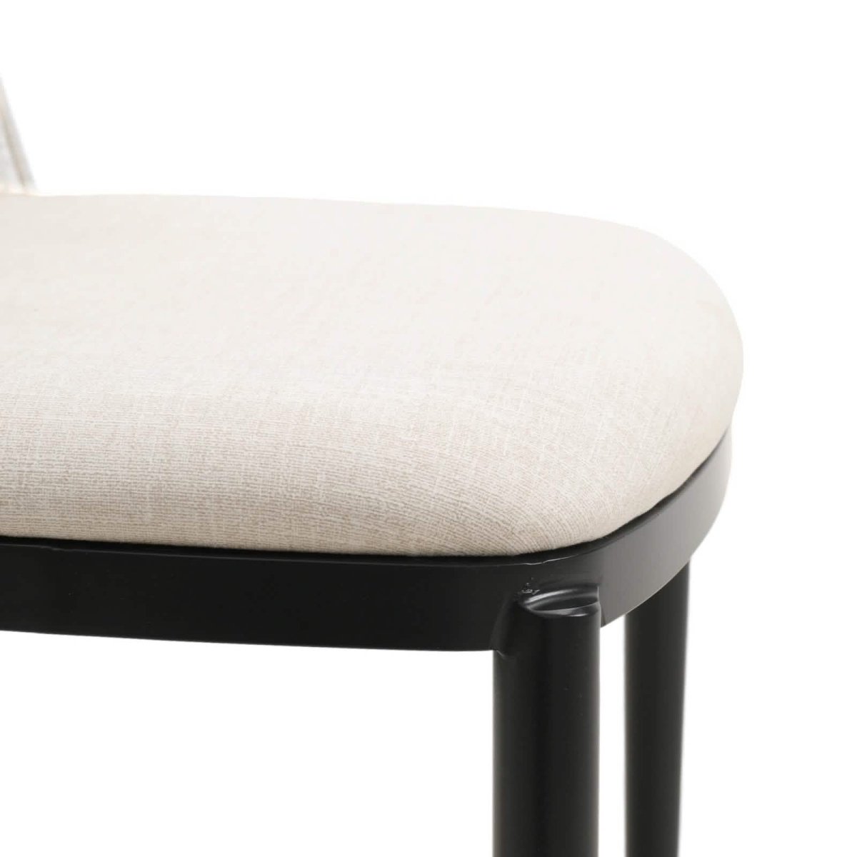 Tule Dining Side Chair with Upholstered Seat and Powder - Coated Steel Frame Set of 2