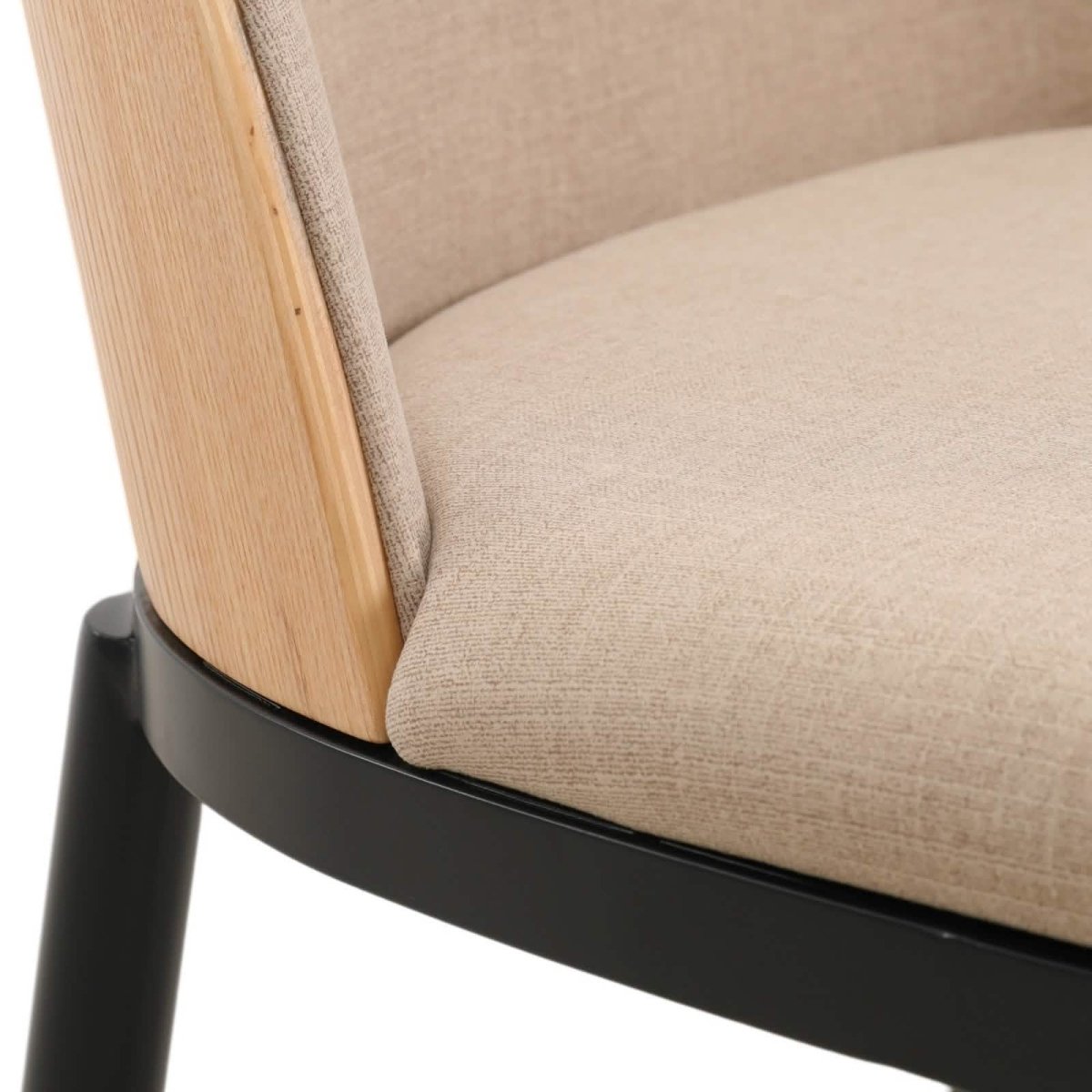 Tule Dining Side Chair with Upholstered Seat and Powder - Coated Steel Frame Set of 2
