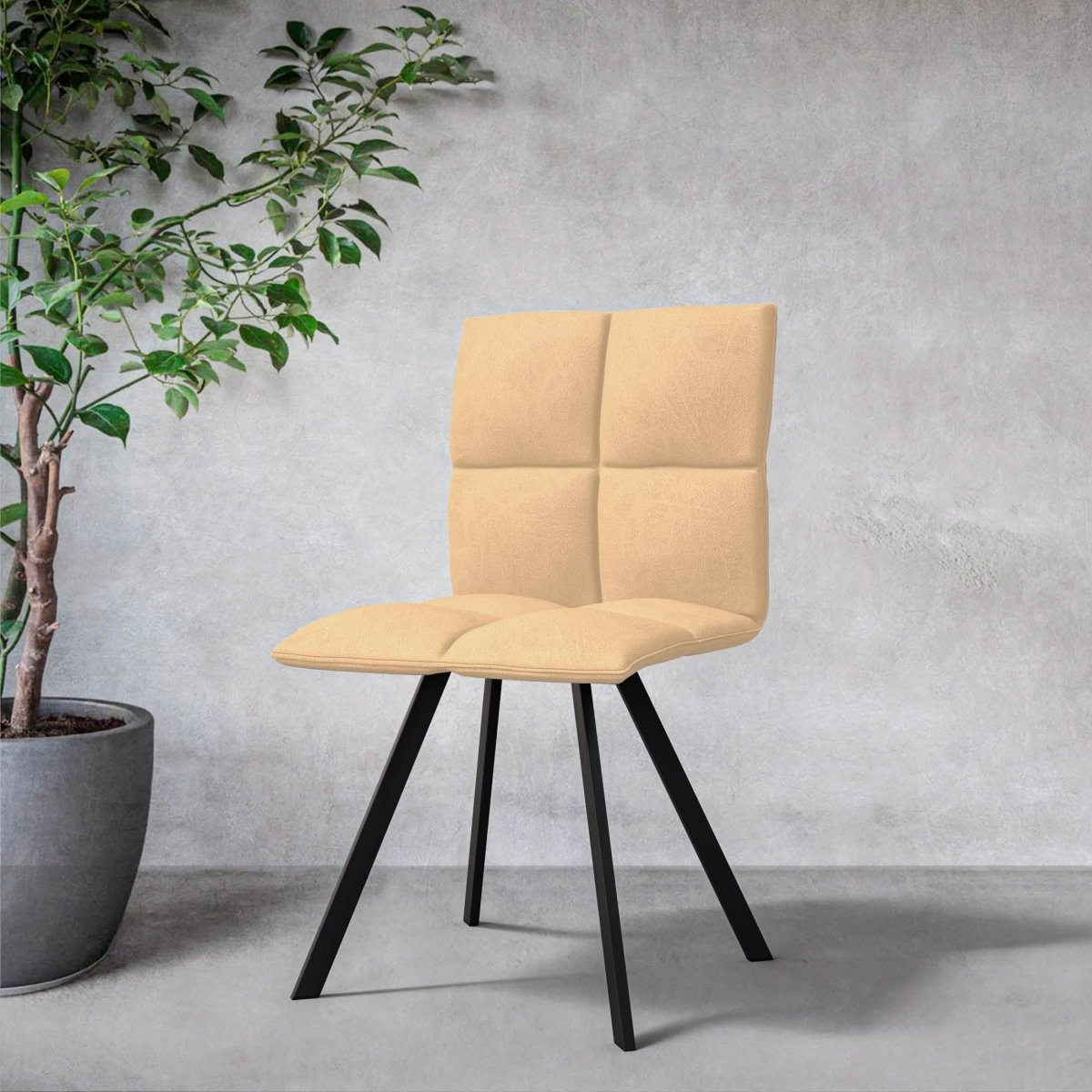 Wesley Modern Leather Kitchen and Dining Chairs with Black Metal Legs