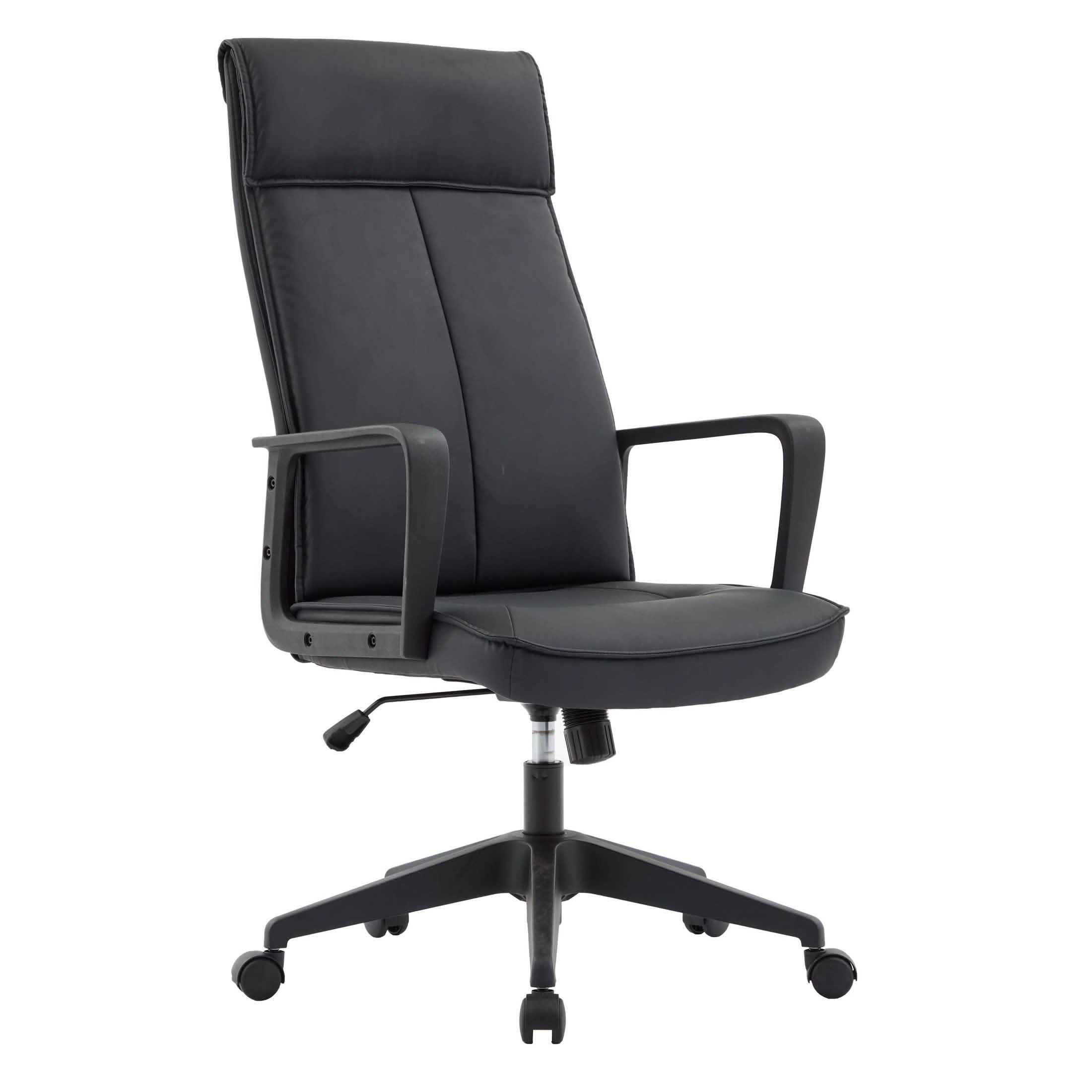 Aiaria Ergonomic High-Back Leather Office Chair with Adjustable Height, Swivel, Tilt, and Double Wheel Casters Black Office Chair Your Vendor Name