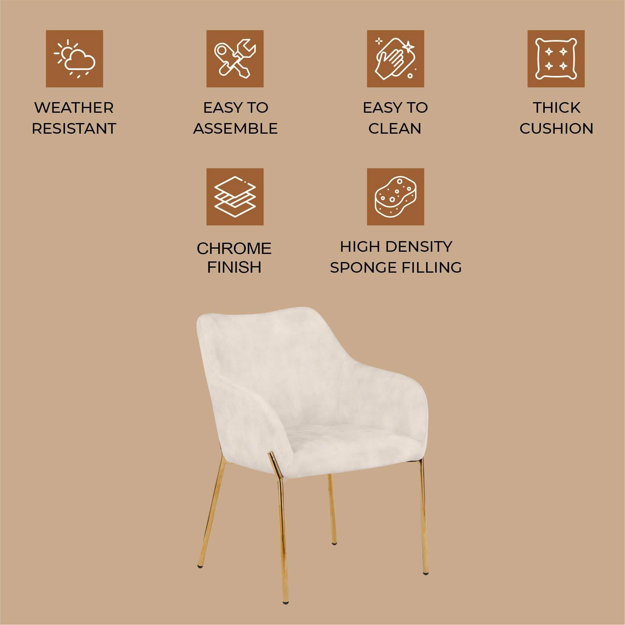 Zaire Upholsters Dining Chair in Velvet/Leather/Boucle with Gold Chrome Iron